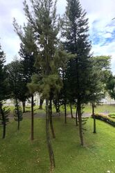 Blk 405 Pandan Gardens (Jurong East), HDB 5 Rooms #548565221